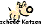 scheue Katzen